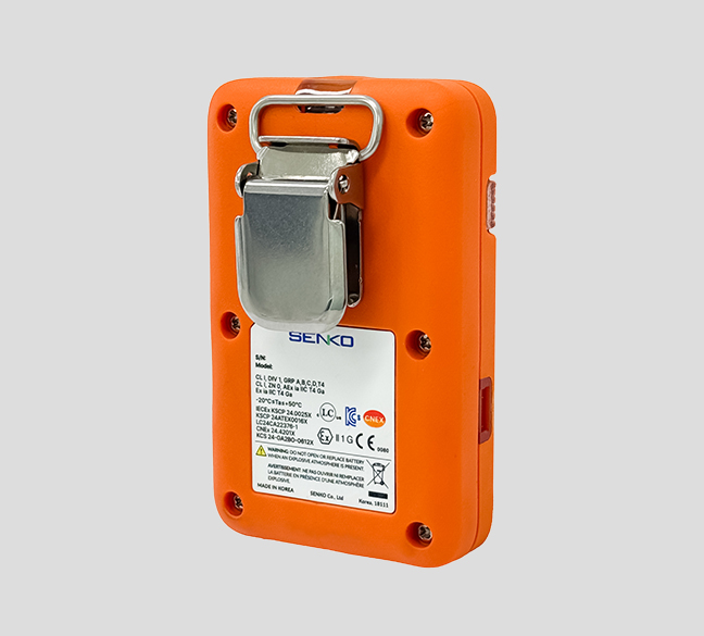 Portable Dual Gas Detector